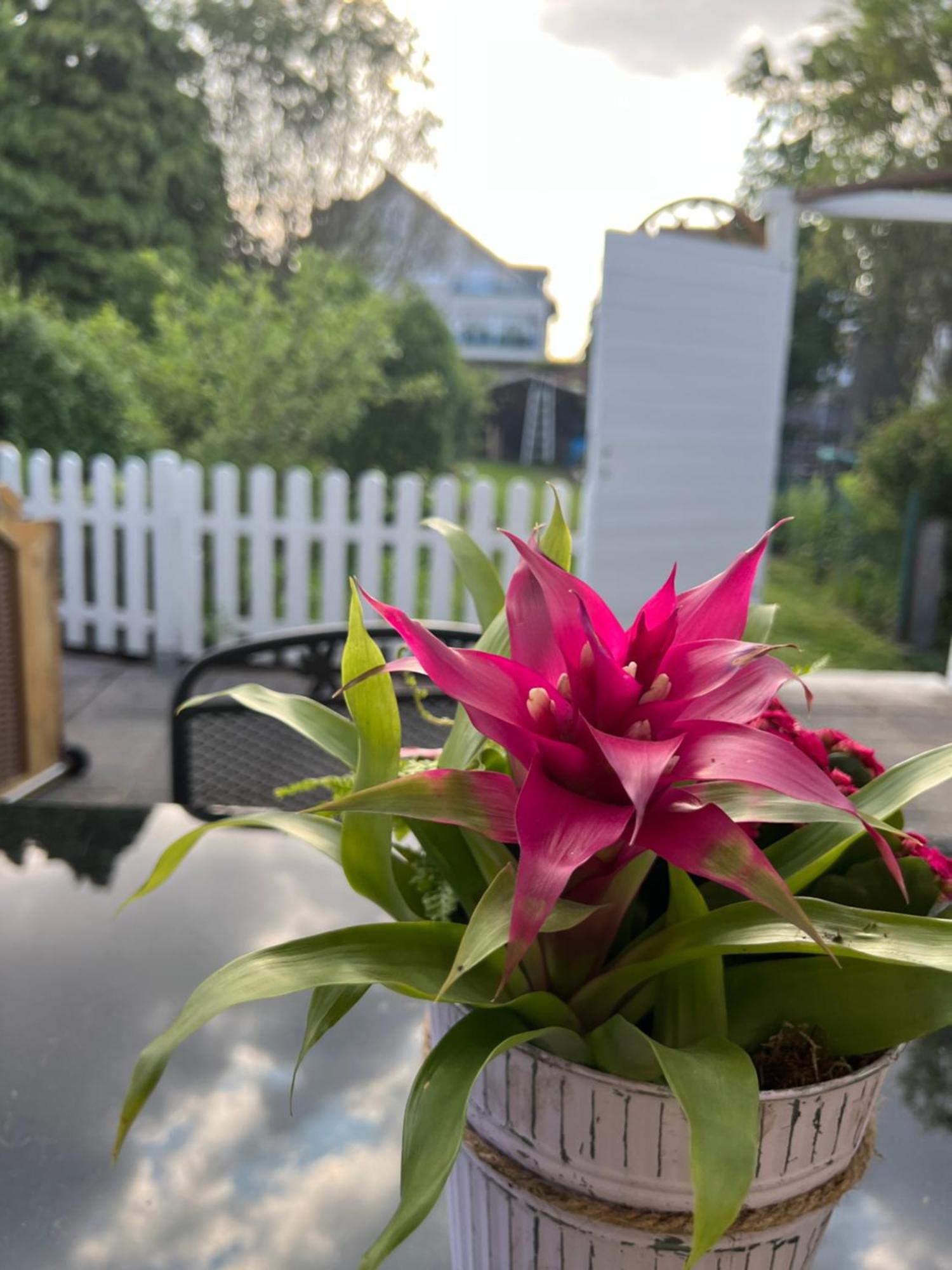 Auszeit Im Pott - Ferienwohnung Lavendel Herten  Exterior foto